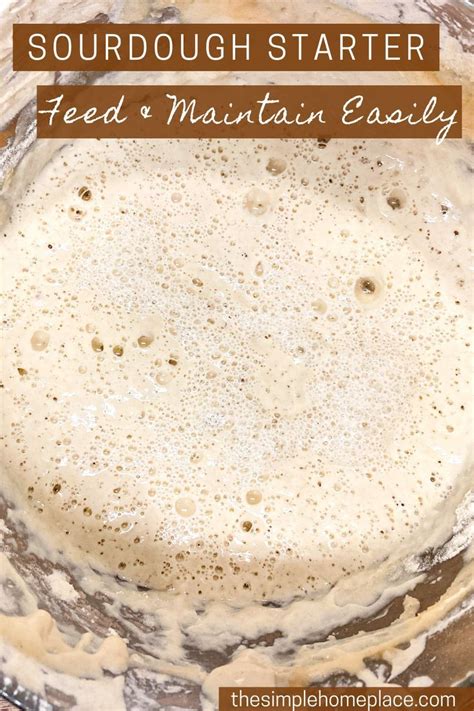 How To Feed Maintain A Sourdough Starter The Easy Way Sourdough