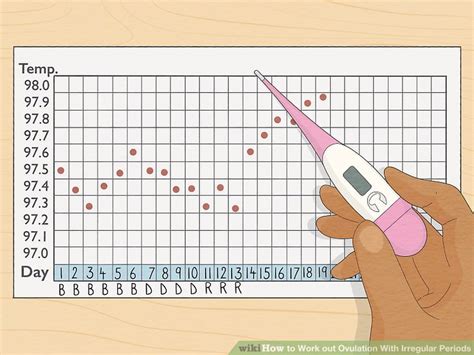 How To Work Out Ovulation With Irregular Periods 9 Steps