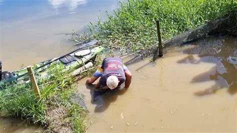 ABRINDO AS PORTEIRAS DO MEU POÇO PARA AS TILAPIAS IREM PARA A LAGOA É