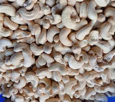 W 320 Grade Whole Cashew Nut At Rs 725 Kg W320 Cashew In Cuddalore