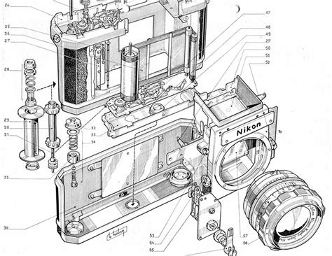 Nikon Publica Manuales Para Poder Reparar En Casa Algunos De Sus