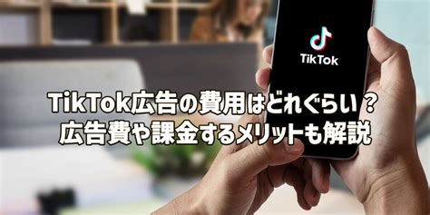 TikTok広告の費用はどれぐらい種類別の広告費や課金するメリットも解説 TORIHADA POSTトリハダポスト