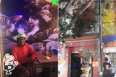 Pub Y Bar El Gato Igualado Oaxaca De Noviembre Opiniones Del