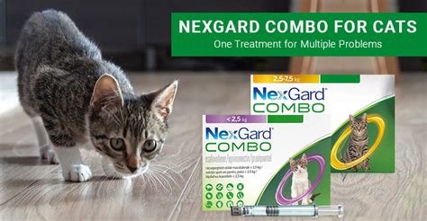 Nexgard Flea Treatment For Cats