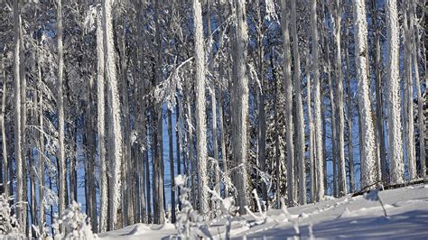 Le Champ Du Feu Ski Resort Visit Alsace