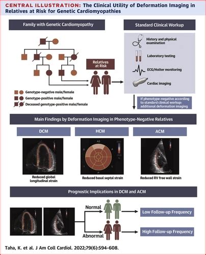 Echocardiographic Deformation Imaging For Early Detection Of Genetic