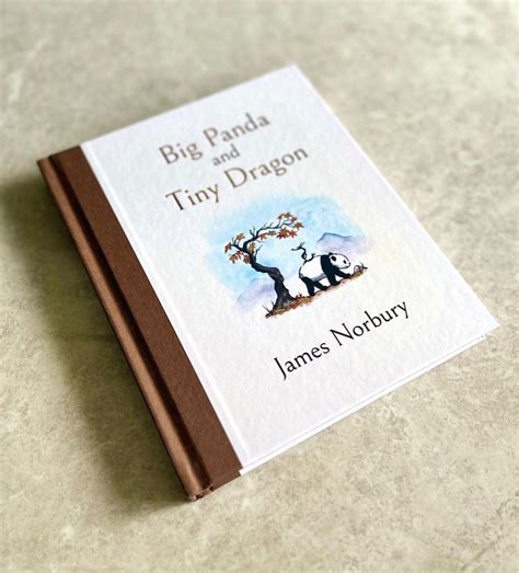 James Norbury Big Panda And Tiny Dragon Hobbies Toys Books