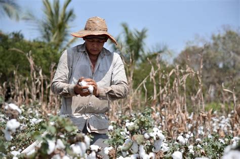 FAO Colombia on Twitter RT FAOBrasilCoop Delegación de países de