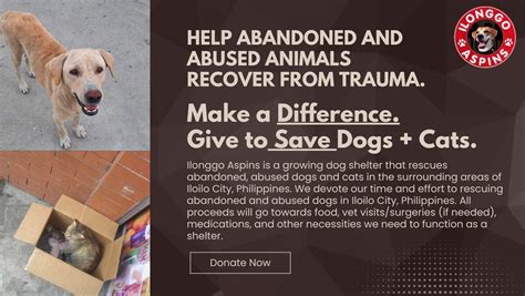 Fundraiser By Stella Fanega Give To Save Abandoned And Abused Dogs And Cats