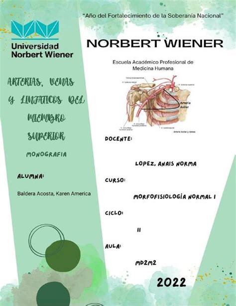 Arterias Venas y Linfáticos del Miembro Superior Karen Baldera uDocz