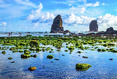 Cannon Beach Needles At Low Tide Photograph By Carolyn Derstine Fine