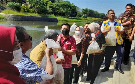 Hidupkan Ekosistem Sungai Ribu Benih Ikan Ditebar Di Banjir Kanal