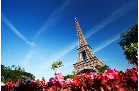 Eiffel Tower Paris Wall Mural