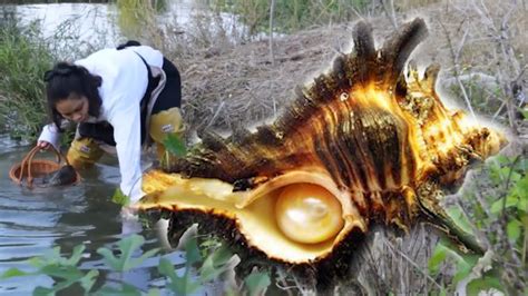 Octagonal Giant Clam Pearls Are Extremely Large And The Girl Is