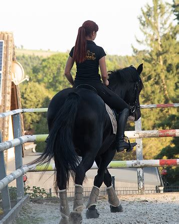 Reitunterricht Lena Schmitz Ganzh