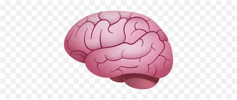 Brain Emoji Transparent Brainbrain Emoji Png Free Transparent