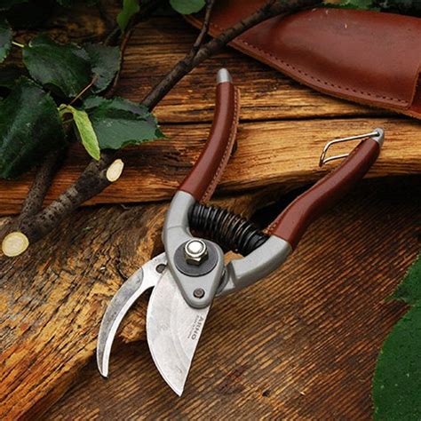 10 Best Pruning Shears For Easier Gardening 2022