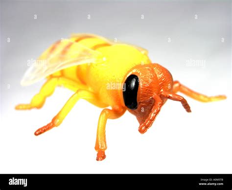 Pretend Bee Hi Res Stock Photography And Images Alamy