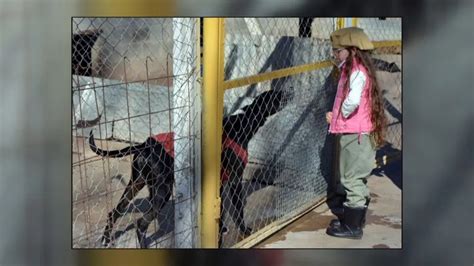 Una Nena De 7 Años Vendió Su Ropa Para Comprar Alimento A Los Perritos