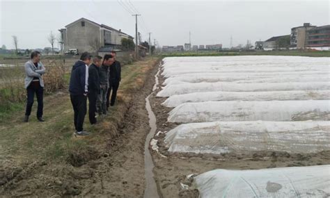 省中心一行到赫山区调研水稻机械化栽种情况 综合要闻 湖南省农机事务中心