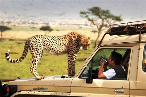 Top Best Things To Do On Your African Safari East Africa Safari