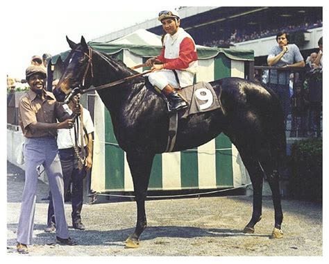 ruffian+&+saratoga | ruffian maiden victory winners circle a rare photo ...