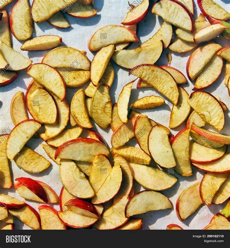 Sliced Dried Apples Image And Photo Free Trial Bigstock