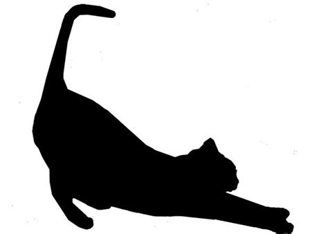 Stretching Cat Drawing - ClipArt Best