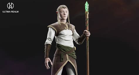 High Elf Priest Male Elf In Characters Ue Marketplace