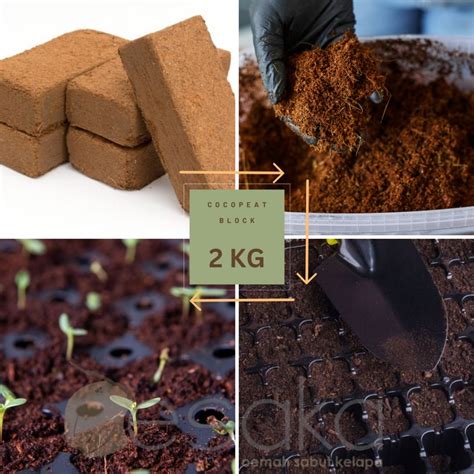 Jual Media Tanam Hidroponik Cocopeat Block Low Ec Cocopeat Balok Kg