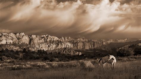 Robert Dawson On The Utah Plains Horse Print Canvas Options