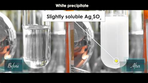 Precipitation Reaction Of Mgso Agno Double Displacement Youtube