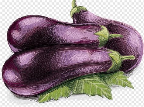 Alcachofa berenjena vegetal berenjena púrpura comida Violeta png