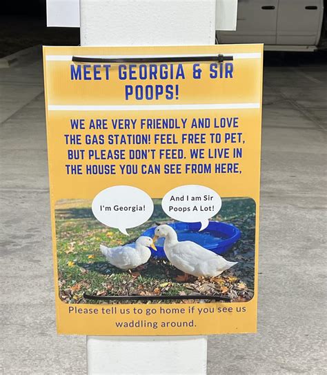 Spotted at a local gas station : r/funny