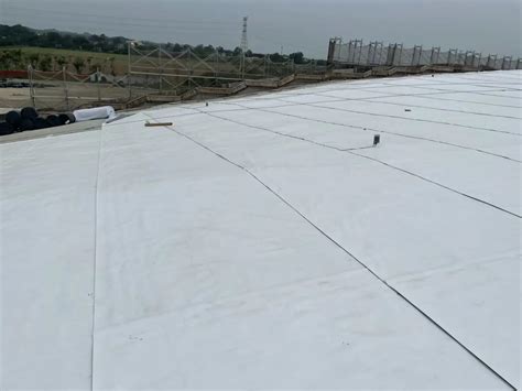 Tpo Waterproofing Membrane Reinforced Tpo Sheet Roofing Roll For Flat