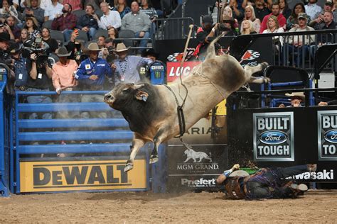 Sweetpros Bruiser Wins Pbr And Prca World Championships