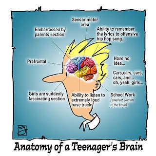 Mafer's Blog: Inside the Teenage Brain