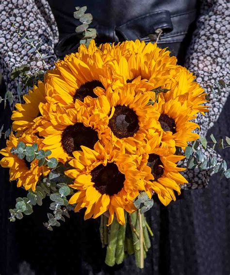 Sunflower Bouquet