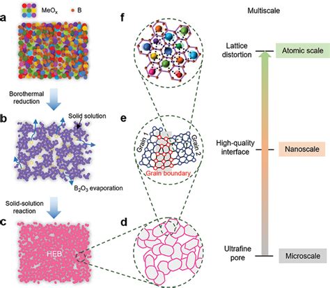 Schematic Illustration Of The Fabrication And The Multiscale Design Of