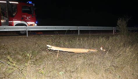 Schwerer Unfall Bei Ansbach J Hriger Mitfahrer Stirbt Bildergalerie