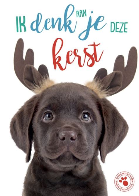 Studio Pets Kerstkaart Denken Aan Greetz