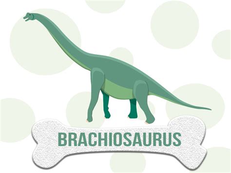 DINOSAURIO Brachiosaurus Características hábitat y alimentación