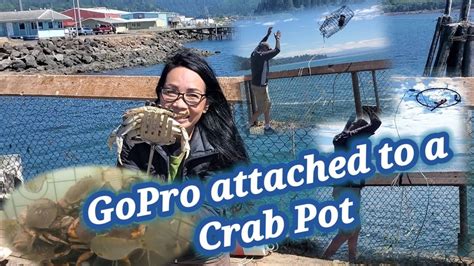 Gopro Attached To A Crab Pot Garibaldi Oregon Dungenuss Crab