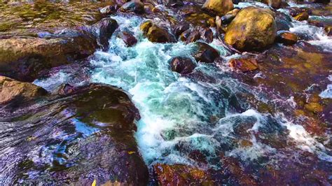 fast moving river   forest  stock video  vecteezy