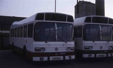 Red Rover Showbus Bus Image Gallery London Home Counties