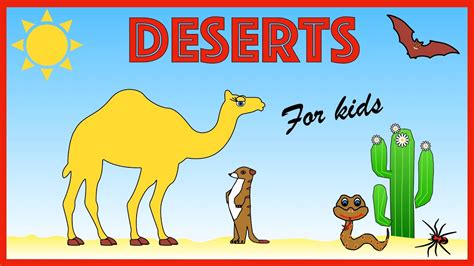 Desert Ecosystems For Kids