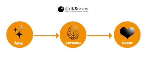 La M Thode Acc D Afriksurvey Pour Des Etudes De March