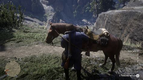 Red Dead Redemption 2 Reviving Your Horse When It Gets Hurt Youtube