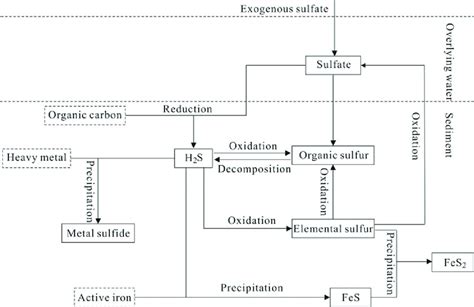 Sulfur Cycle Steps