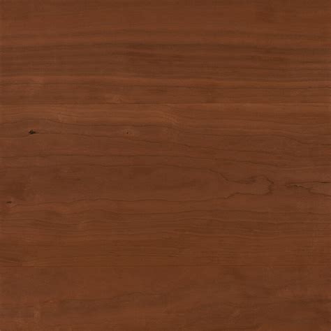 Allen + roth American Cherry Wood Kitchen Countertop Sample at Lowes.com